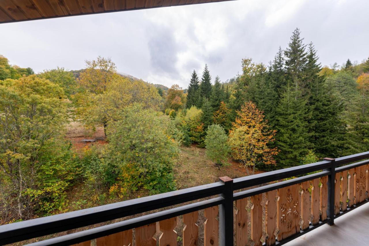 - Didveli Residence Lux Apartments - Bakuriani Dış mekan fotoğraf
